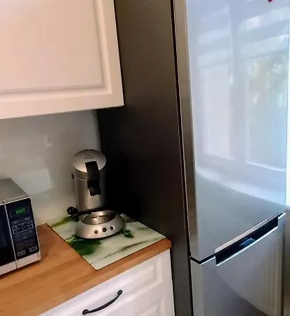 公寓 Mickiewicz - Center, Wifi 斯武普斯克